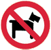 No pets, please